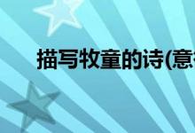 描寫牧童的詩(意欲捕鳴蟬忽然閉口立)