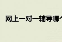 網(wǎng)上一對一輔導哪個平臺靠譜（怎么選擇）