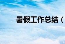 暑假工作總結(jié)（暑期工作實踐總結(jié)）