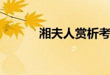 湘夫人賞析考點（湘夫人賞析）