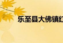 樂至縣大佛鎮(zhèn)紅鞍小學(xué)的地址在哪