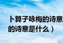 卜算子詠梅的詩意是什么30字（卜算子詠梅的詩意是什么）
