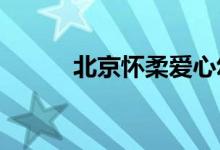 北京懷柔愛(ài)心幼兒園的地址在哪