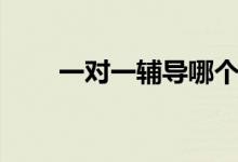 一對一輔導(dǎo)哪個機(jī)構(gòu)好（怎么選擇）