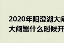2020年陽(yáng)澄湖大閘蟹上市時(shí)間 2020陽(yáng)澄湖大閘蟹什么時(shí)候開(kāi)湖