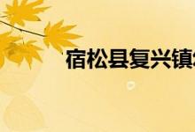 宿松縣復(fù)興鎮(zhèn)幼兒園的地址在哪