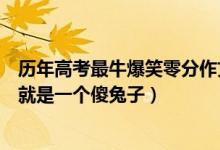 歷年高考最牛爆笑零分作文（史上最雷人高考零分作文：你就是一個傻兔子）