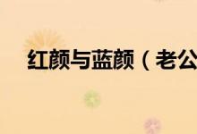 紅顏與藍(lán)顏（老公有紅顏知己算出軌嗎）