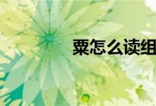 粟怎么讀組詞(粟怎么讀)