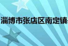 淄博市張店區(qū)南定鎮(zhèn)岳店村幼兒園的地址在哪