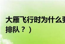 大雁飛行時為什么要排隊（大雁飛行時為啥要排隊？）