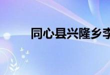 同心縣興隆鄉(xiāng)李堡小學(xué)的地址在哪