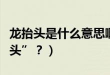 龍?zhí)ь^是什么意思?。ǘ露槭裁唇小褒?zhí)ь^”？）