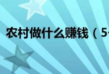 農(nóng)村做什么賺錢（5個(gè)生意在農(nóng)村悄然走紅）