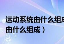 運(yùn)動(dòng)系統(tǒng)由什么組成具有什么功能（運(yùn)動(dòng)系統(tǒng)由什么組成）