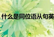 什么是同位語從句英語(同位語的定義是什么)