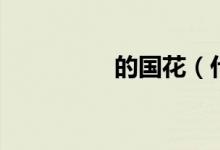 的國花（什么花是國花）