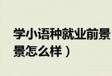 學(xué)小語種就業(yè)前景（2022小語種專業(yè)就業(yè)前景怎么樣）
