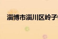 淄博市淄川區(qū)嶺子鎮(zhèn)中心小學的地址在哪