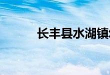 長(zhǎng)豐縣水湖鎮(zhèn)幼兒園的地址在哪