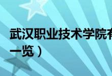武漢職業(yè)技術(shù)學院有哪些專業(yè)（院校開設(shè)專業(yè)一覽）