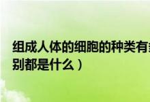 組成人體的細(xì)胞的種類有多少種（人體細(xì)胞的分類和功能分別都是什么）