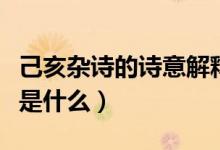 己亥雜詩(shī)的詩(shī)意解釋（己亥雜詩(shī)的詩(shī)意及注釋是什么）