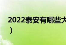 2022泰安有哪些大學（本科及大專學校名單）