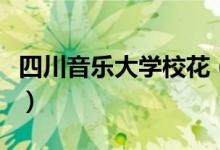 四川音樂大學(xué)?；ǎㄋ拇ㄒ魳穼W(xué)院?；Ь_）