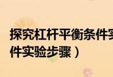 探究杠桿平衡條件實(shí)驗(yàn)教案（探究杠桿平衡條件實(shí)驗(yàn)步驟）