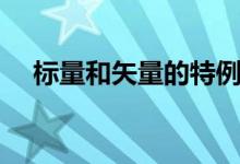 標(biāo)量和矢量的特例（標(biāo)量和矢量的概念）