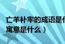 亡羊補(bǔ)牢的成語(yǔ)是什么意思（成語(yǔ)亡羊補(bǔ)牢的寓意是什么）