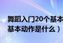 舞蹈入門20個基本動作下叉（舞蹈入門20個基本動作是什么）