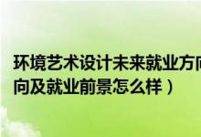 環(huán)境藝術(shù)設(shè)計(jì)未來(lái)就業(yè)方向（2022環(huán)境藝術(shù)設(shè)計(jì)專(zhuān)業(yè)就業(yè)方向及就業(yè)前景怎么樣）