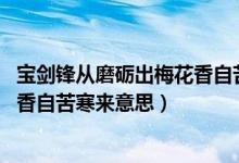 寶劍鋒從磨礪出梅花香自苦寒來(lái)意思（寶劍鋒從磨礪出,梅花香自苦寒來(lái)意思）