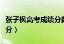張子楓高考成績(jī)分?jǐn)?shù)線(xiàn)（張子楓高考成績(jī)多少分）