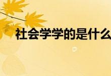 社會學(xué)學(xué)的是什么內(nèi)容(社會學(xué)學(xué)什么)