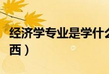 經(jīng)濟(jì)學(xué)專業(yè)是學(xué)什么（經(jīng)濟(jì)學(xué)專業(yè)是學(xué)什么東西）