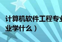 計(jì)算機(jī)軟件工程專業(yè)大學(xué)（計(jì)算機(jī)軟件工程專業(yè)學(xué)什么）