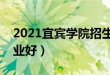 2021宜賓學院招生有哪些專業(yè)（什么專業(yè)就業(yè)好）
