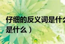仔細的反義詞是什么標準答案（仔細的反義詞是什么）