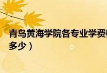 青島黃海學(xué)院各專業(yè)學(xué)費標(biāo)準(zhǔn)（青島黃海學(xué)院各專業(yè)學(xué)費是多少）