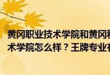 黃岡職業(yè)技術(shù)學(xué)院和黃岡科技職業(yè)學(xué)院（2022年黃岡職業(yè)技術(shù)學(xué)院怎么樣？王牌專業(yè)有哪些？）