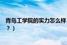 青島工學(xué)院的實(shí)力怎么樣（青島工學(xué)院怎么樣？評(píng)價(jià)高不高？）