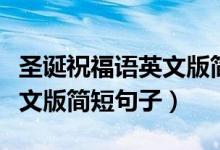圣誕祝福語英文版簡短小學(xué)生（圣誕祝福語英文版簡短句子）