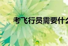 考飛行員需要什么條件(有哪些要求)