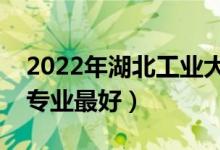2022年湖北工業(yè)大學(xué)專業(yè)排名及介紹(哪些專業(yè)最好)