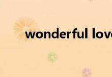 wonderful love(wonder的用法)