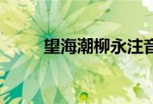 望海潮柳永注音版(望海潮 柳永)