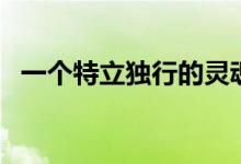 一個特立獨(dú)行的靈魂（一個特立獨(dú)行的人）